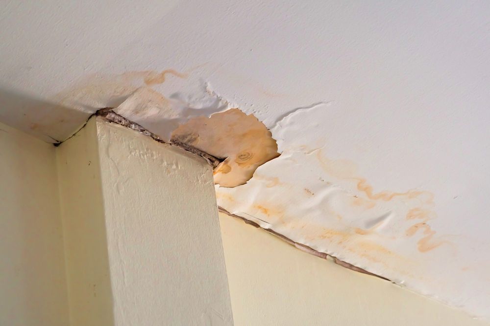 Water stained ceiling with peeling paint before interior restoration